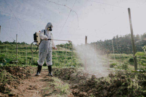 Best Best Pest Control Companies  in Santa Ynez, CA
