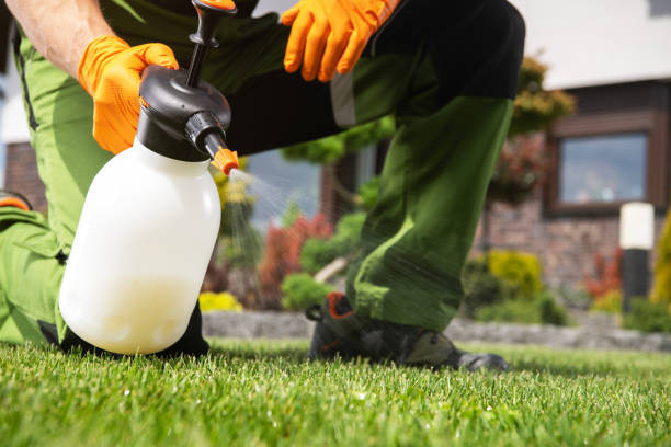 Best Commercial Pest Control Services  in Santa Ynez, CA