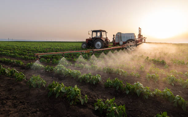 Pest Prevention Services in Santa Ynez, CA
